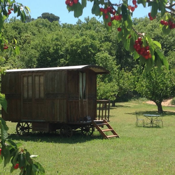 Cabane Secret's - Maison D'hôtes De Charme Le Barroux